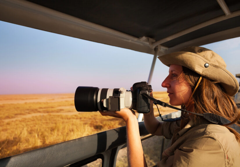 Camera Gear for Safari